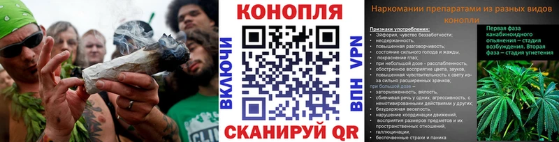 купить  сайты  Трёхгорный  Бошки марихуана VHQ 
